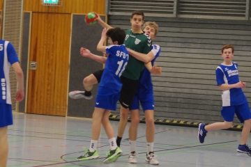 IMGP2491-1