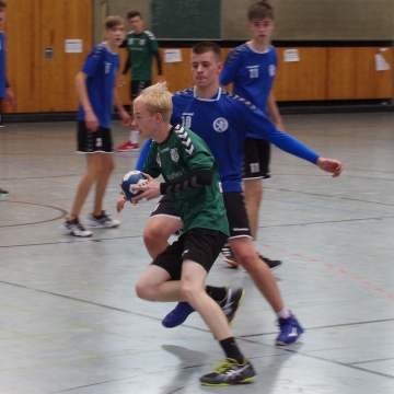 IMGP2333-1