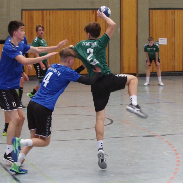 IMGP2516-1
