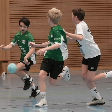 DSC08738-1_jpg-3