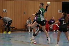 DA1 gegen HSG Hiesfeld-Aldenrade ( 10.01.2026 )