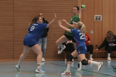 Da1 gegen HSG VeRuKa ( 14.12.2021 )