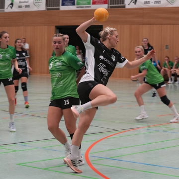 DSC06631-1-3