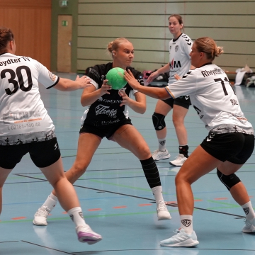 DSC07733-1-3