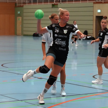 DSC08138-1-3