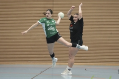 Da1 gegen SSV Gartenstadt ( 24.01.2026 )