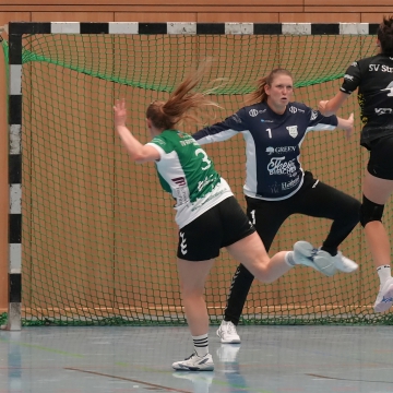 DSC03380-1_jpg-3