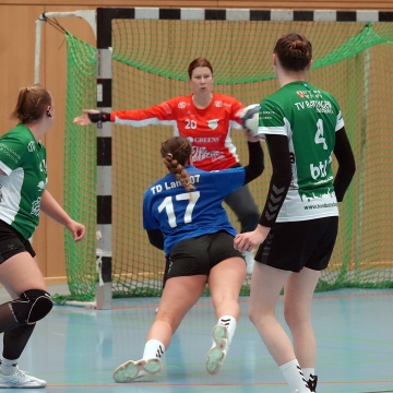 DSC07337-1_jpg-3