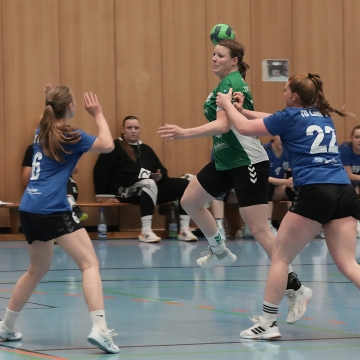 DSC00388-1_jpg-3