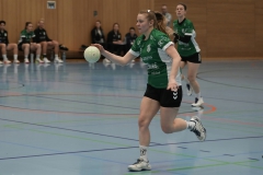 Da1 gegen TV Borken ( 22.02.2026 )