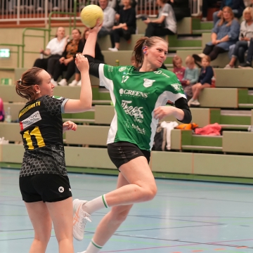 DSC03768-1-3