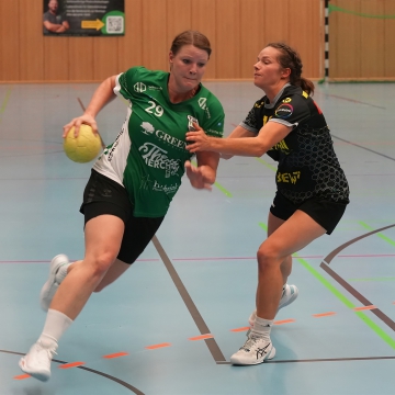 DSC03943-1-3
