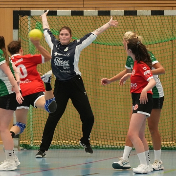 DSC02330-1-3
