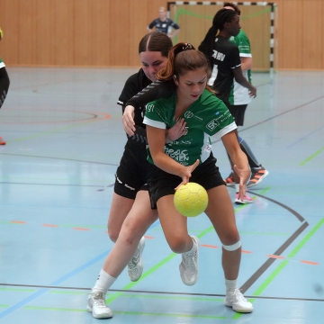 DSC03580-1_jpg-3