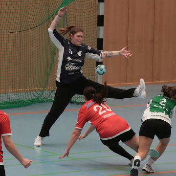 DSC03566-1_jpg-3