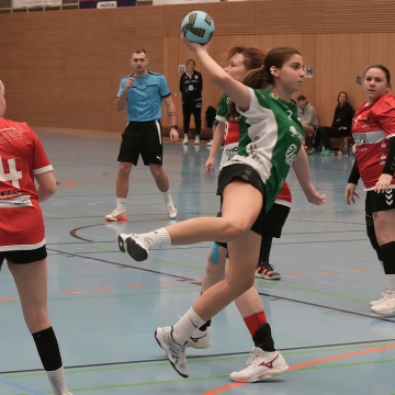 DSC03766-1_jpg-3