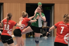 Da2 gegen Solinger TB ( 28.02.2026 )