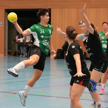 DSC09233-1-3