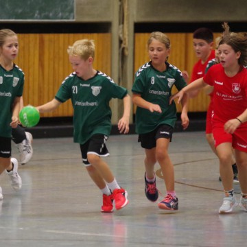IMGP3386-1