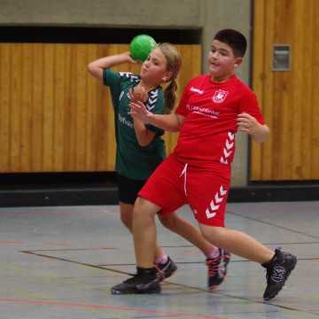 IMGP3630-1